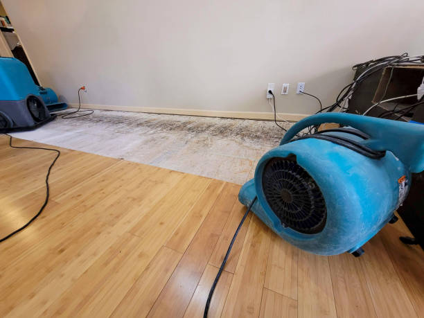 Professional Water Damage Repair technician working in Owings Mills, MD